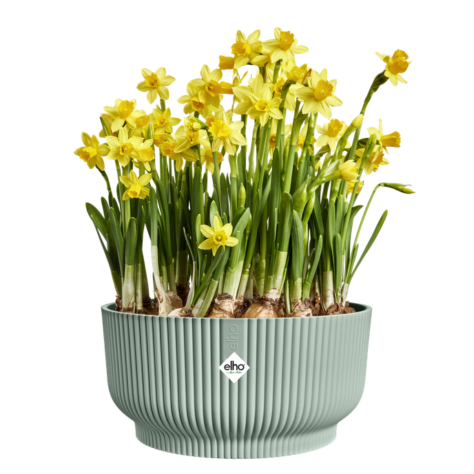 vibes fold bowl 25cm sorbet green